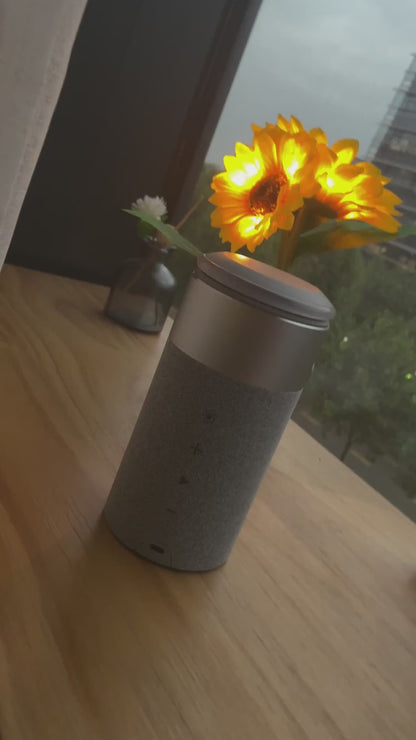 3-in-1 Euphony Charger Hub - Wireless Charging, Bluetooth Sound, Ambient Light